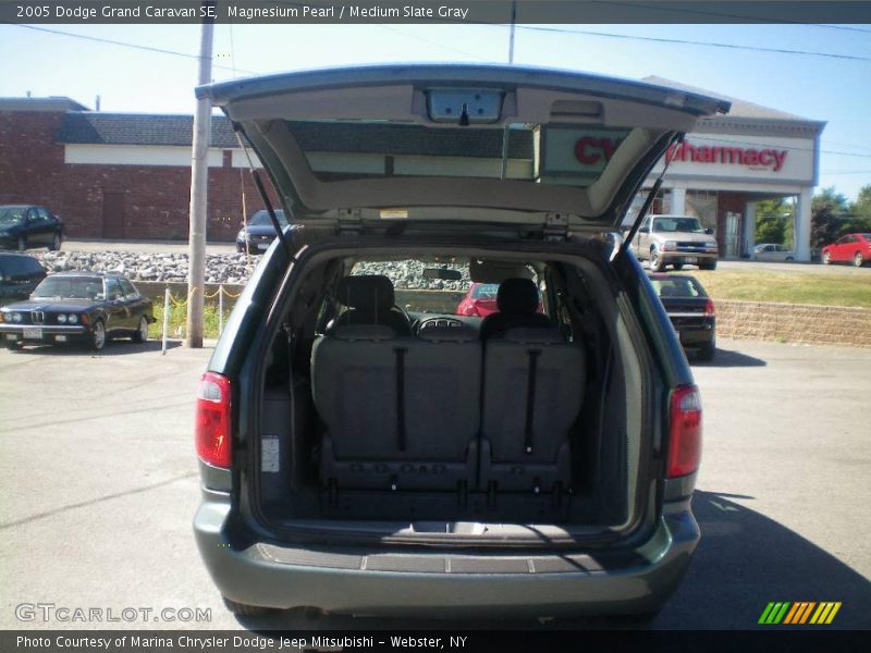 Magnesium Pearl / Medium Slate Gray 2005 Dodge Grand Caravan SE