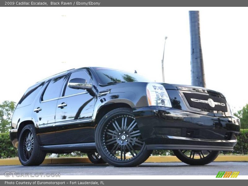 Black Raven / Ebony/Ebony 2009 Cadillac Escalade