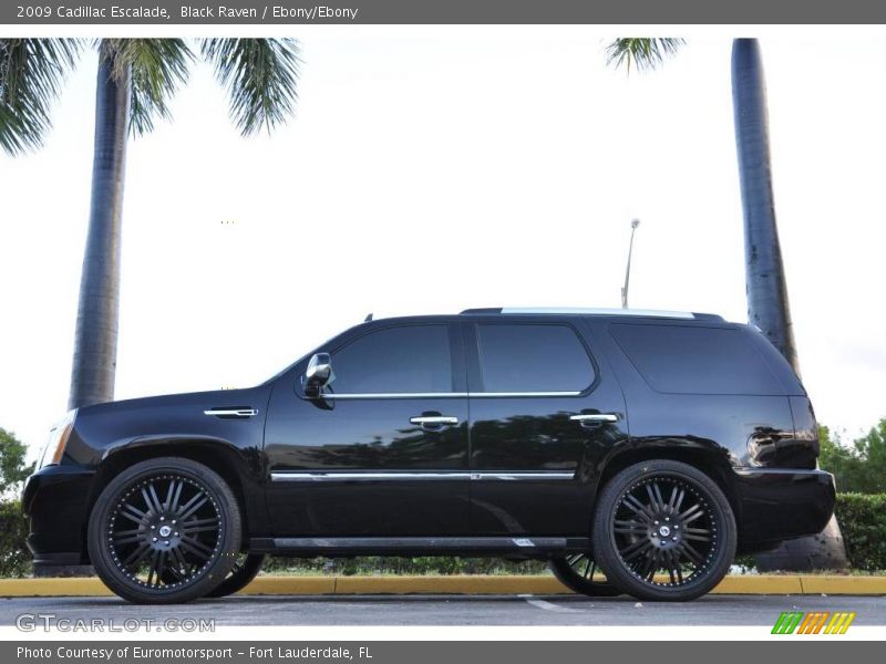 Black Raven / Ebony/Ebony 2009 Cadillac Escalade