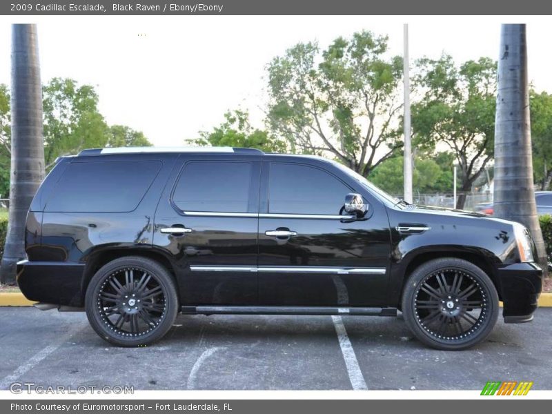 Black Raven / Ebony/Ebony 2009 Cadillac Escalade