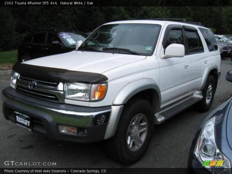 Natural White / Oak 2002 Toyota 4Runner SR5 4x4