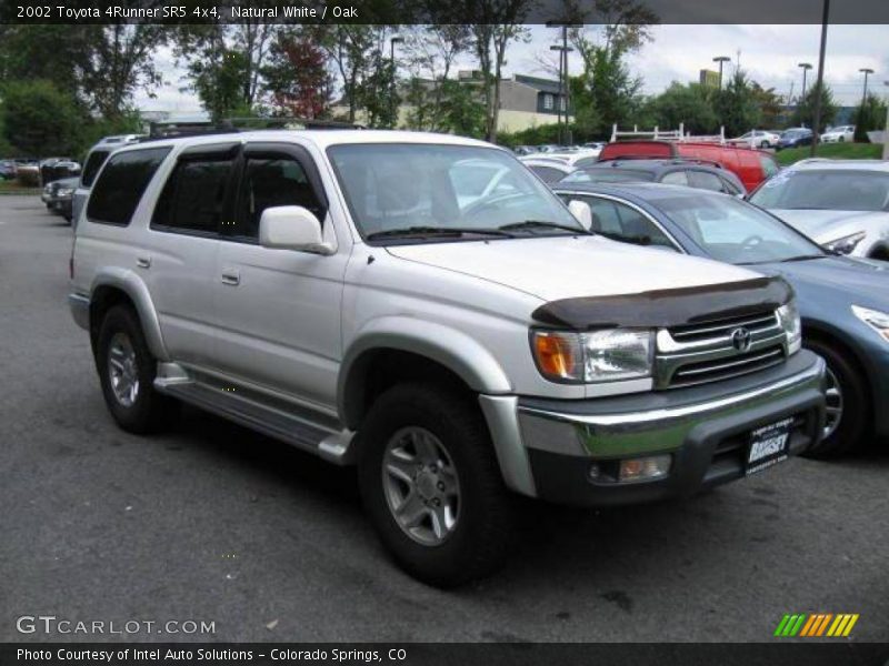 Natural White / Oak 2002 Toyota 4Runner SR5 4x4