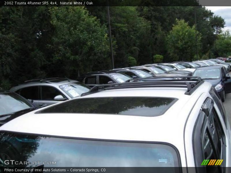 Natural White / Oak 2002 Toyota 4Runner SR5 4x4