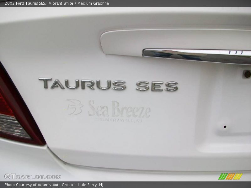 Vibrant White / Medium Graphite 2003 Ford Taurus SES