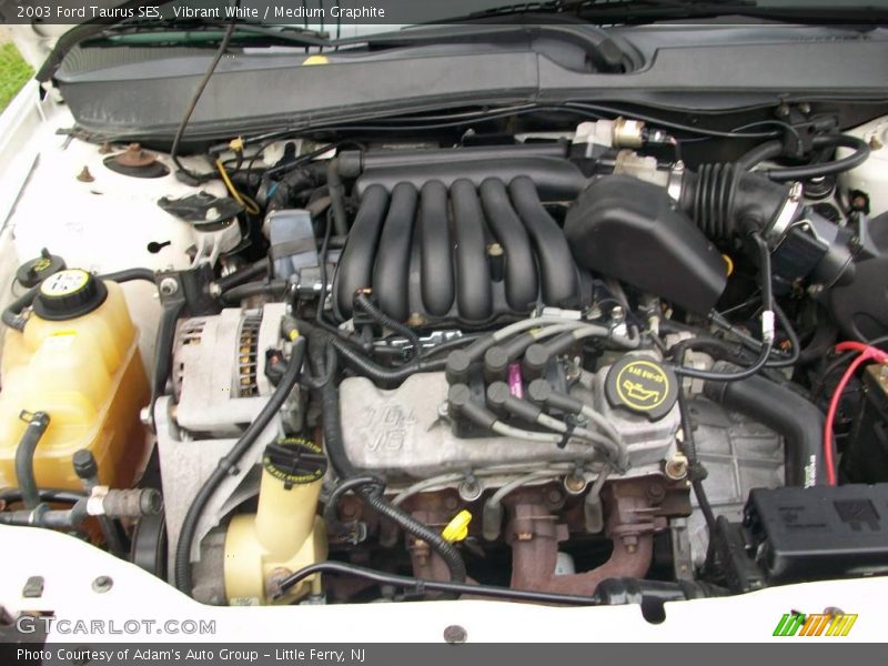 Vibrant White / Medium Graphite 2003 Ford Taurus SES