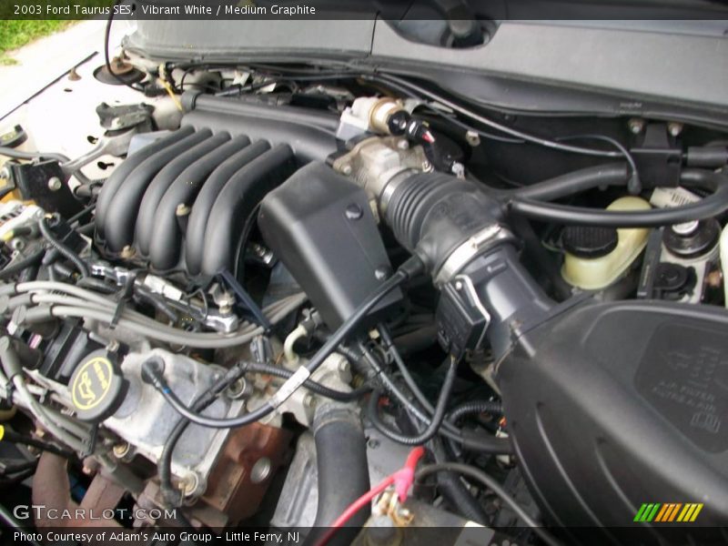 Vibrant White / Medium Graphite 2003 Ford Taurus SES
