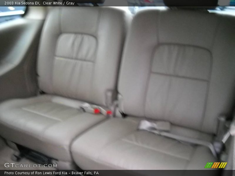 Clear White / Gray 2003 Kia Sedona EX