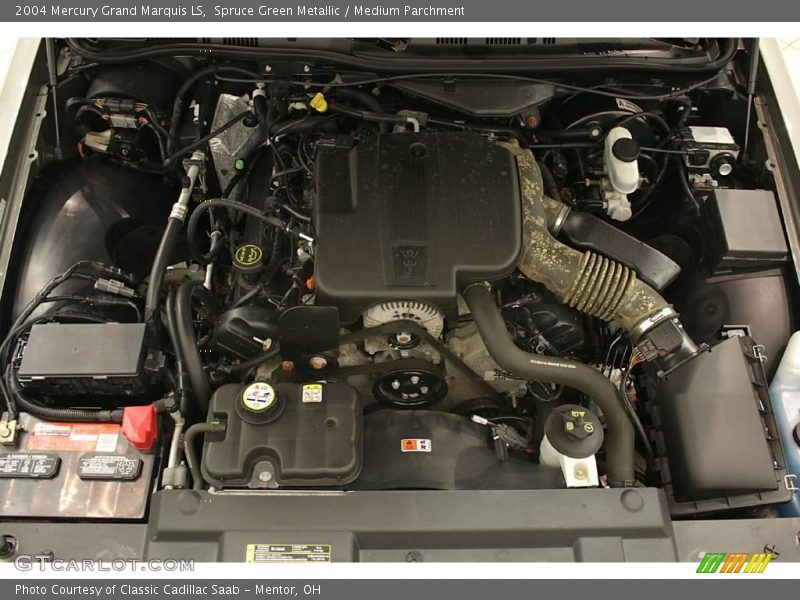 Spruce Green Metallic / Medium Parchment 2004 Mercury Grand Marquis LS