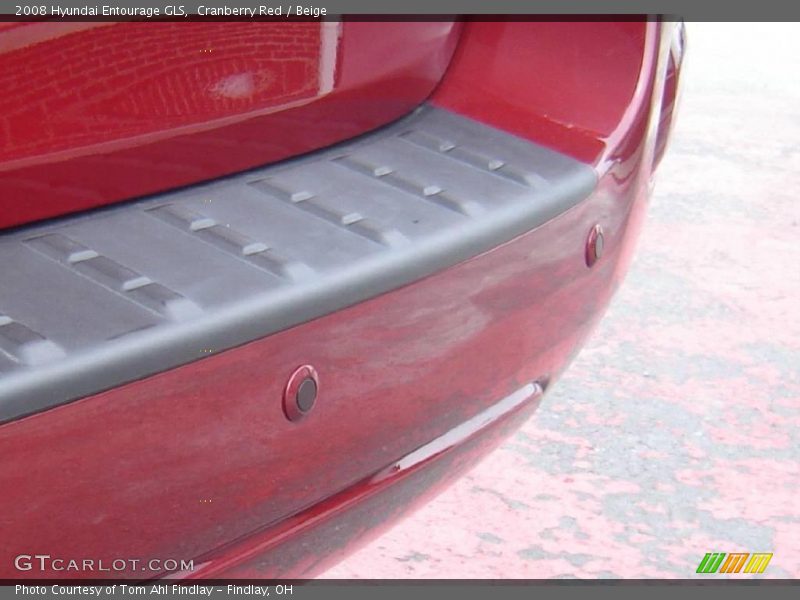 Cranberry Red / Beige 2008 Hyundai Entourage GLS