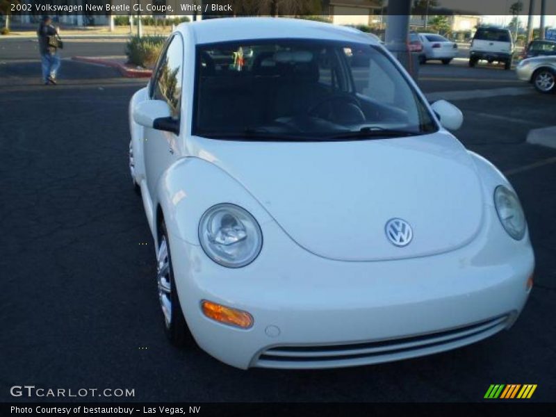 White / Black 2002 Volkswagen New Beetle GL Coupe