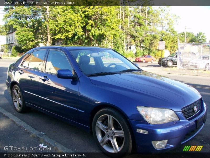 Intensa Blue Pearl / Black 2002 Lexus IS 300