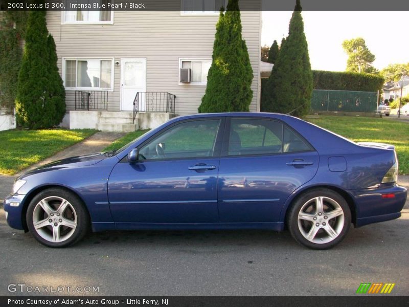 Intensa Blue Pearl / Black 2002 Lexus IS 300