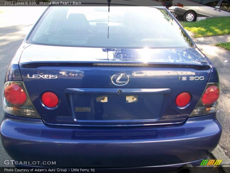 Intensa Blue Pearl / Black 2002 Lexus IS 300
