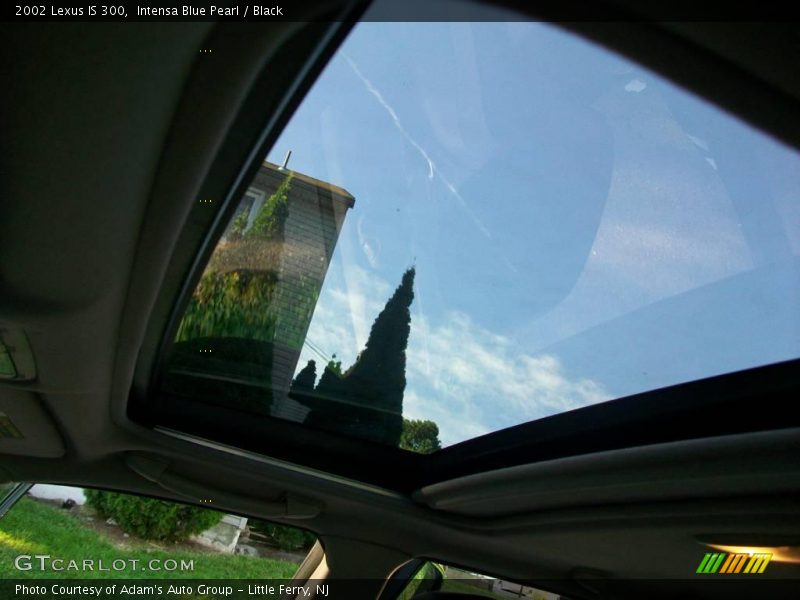 Intensa Blue Pearl / Black 2002 Lexus IS 300