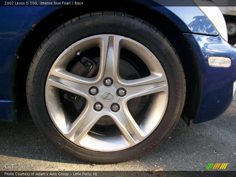 Intensa Blue Pearl / Black 2002 Lexus IS 300