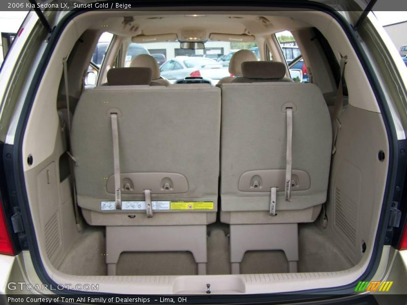 Sunset Gold / Beige 2006 Kia Sedona LX