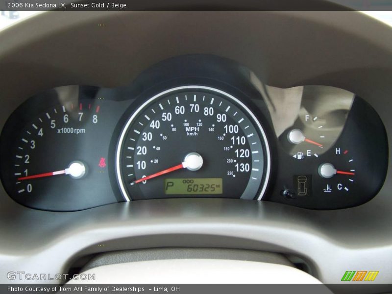 Sunset Gold / Beige 2006 Kia Sedona LX