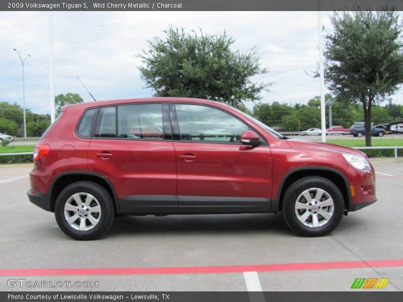 Wild Cherry Metallic / Charcoal 2009 Volkswagen Tiguan S