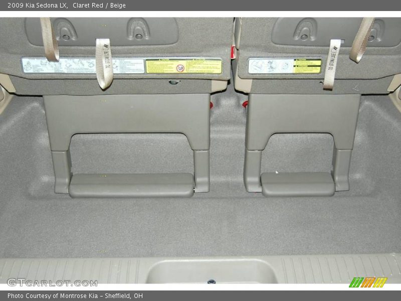 Claret Red / Beige 2009 Kia Sedona LX