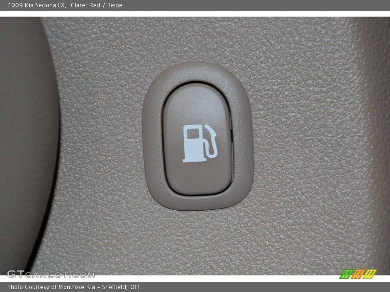 Claret Red / Beige 2009 Kia Sedona LX