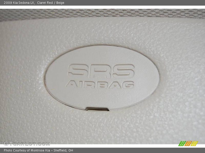 Claret Red / Beige 2009 Kia Sedona LX