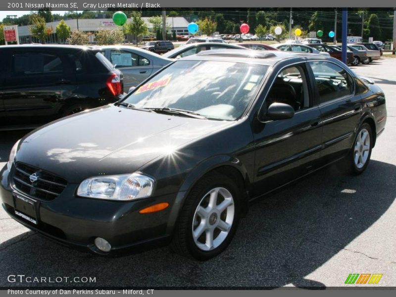 Gray Lustre Metallic / Black 2001 Nissan Maxima SE