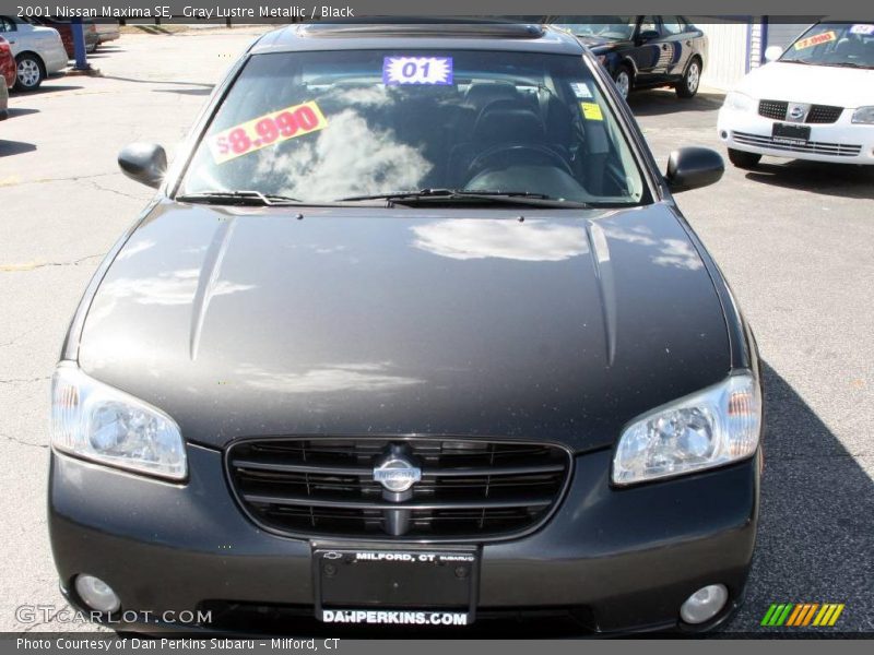 Gray Lustre Metallic / Black 2001 Nissan Maxima SE