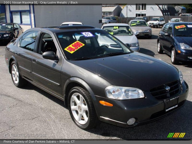 Gray Lustre Metallic / Black 2001 Nissan Maxima SE