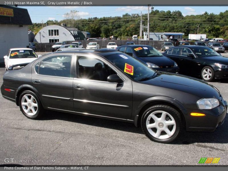 Gray Lustre Metallic / Black 2001 Nissan Maxima SE