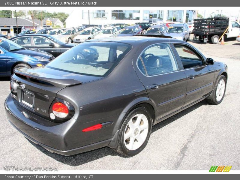 Gray Lustre Metallic / Black 2001 Nissan Maxima SE
