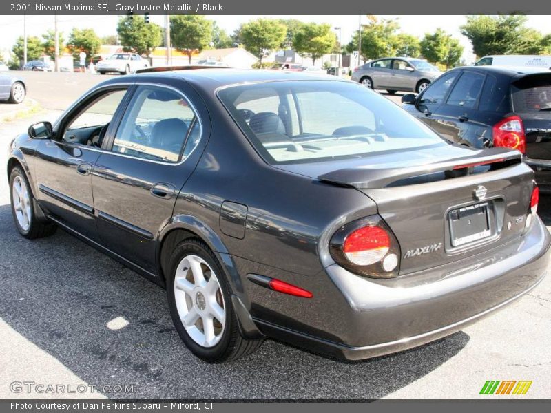 Gray Lustre Metallic / Black 2001 Nissan Maxima SE