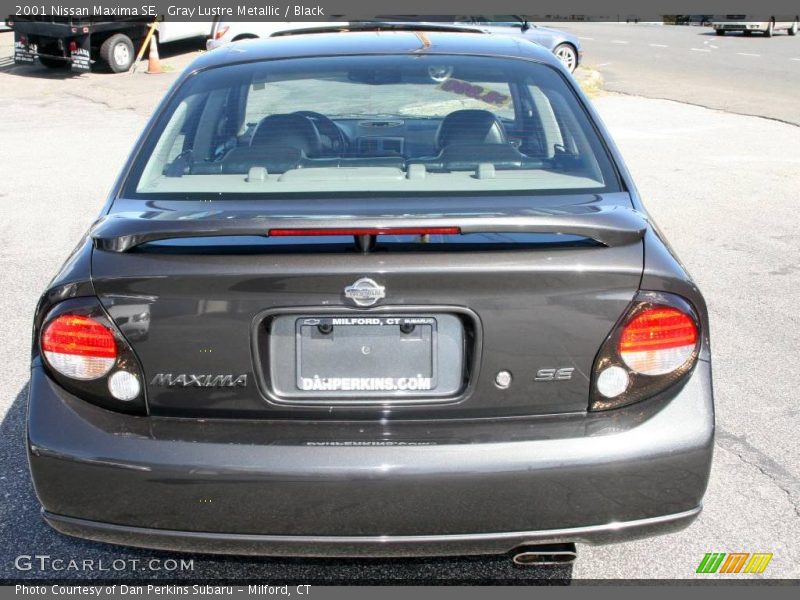 Gray Lustre Metallic / Black 2001 Nissan Maxima SE