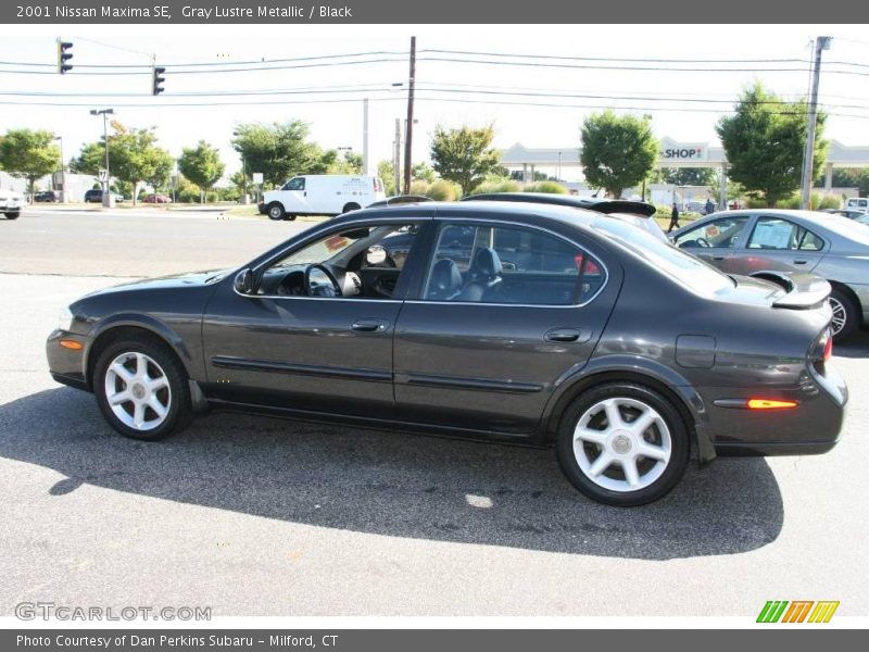 Gray Lustre Metallic / Black 2001 Nissan Maxima SE