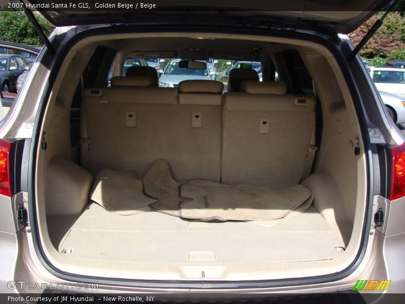 Golden Beige / Beige 2007 Hyundai Santa Fe GLS