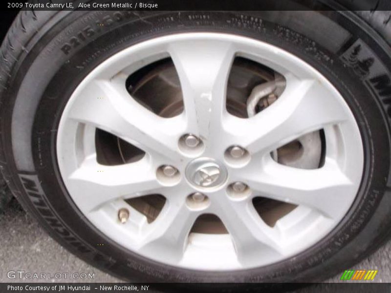 Aloe Green Metallic / Bisque 2009 Toyota Camry LE