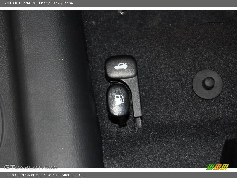 Ebony Black / Stone 2010 Kia Forte LX