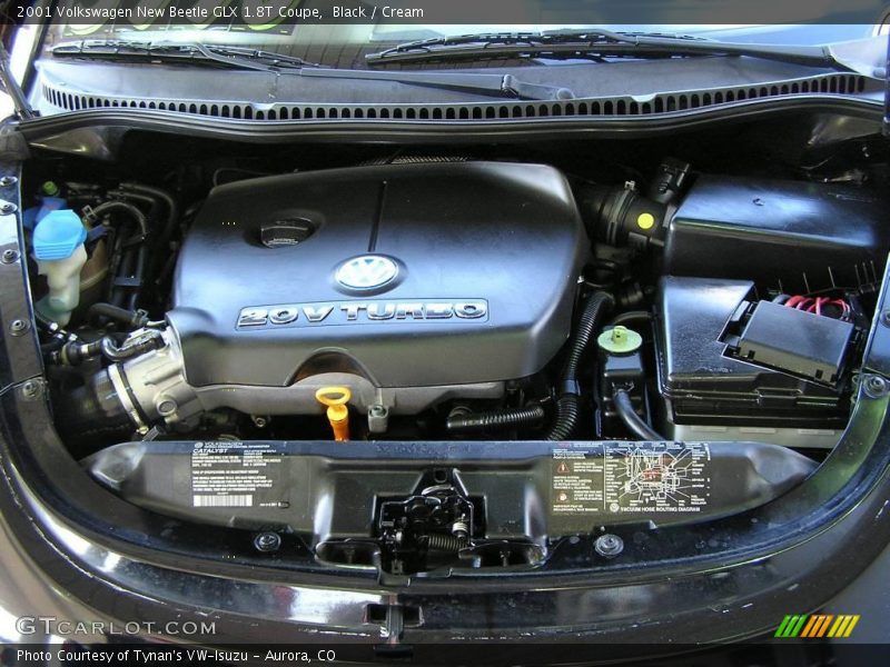 Black / Cream 2001 Volkswagen New Beetle GLX 1.8T Coupe