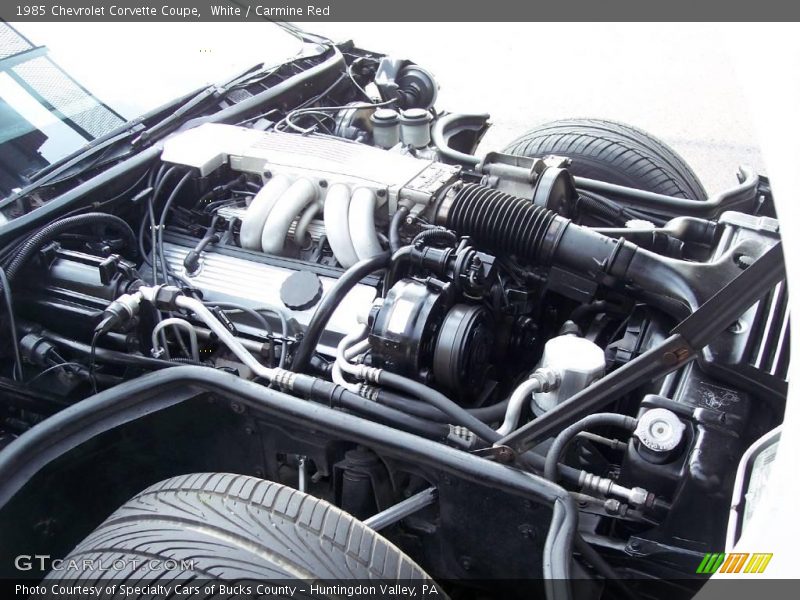 White / Carmine Red 1985 Chevrolet Corvette Coupe
