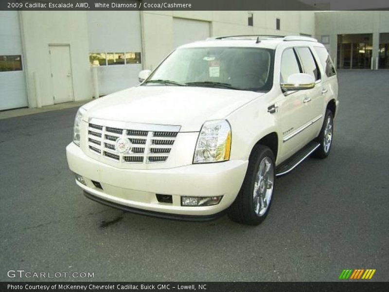 White Diamond / Cocoa/Cashmere 2009 Cadillac Escalade AWD