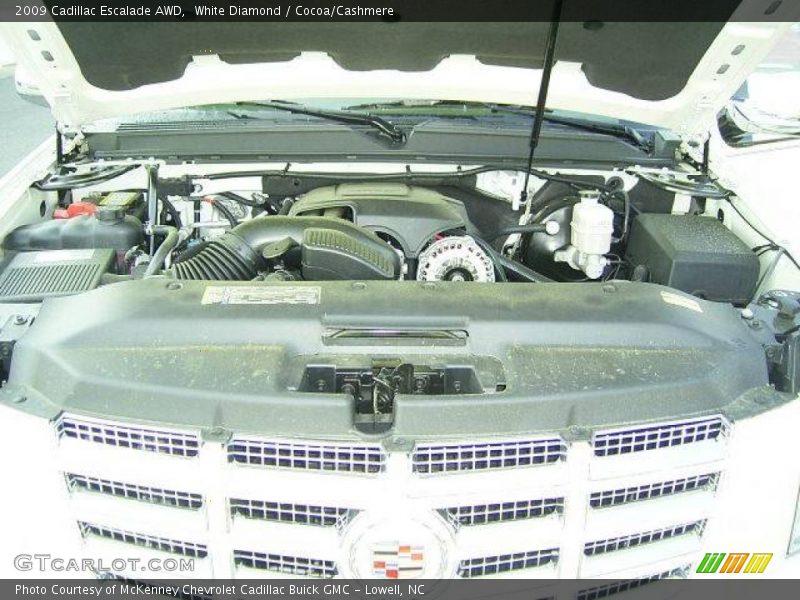 White Diamond / Cocoa/Cashmere 2009 Cadillac Escalade AWD