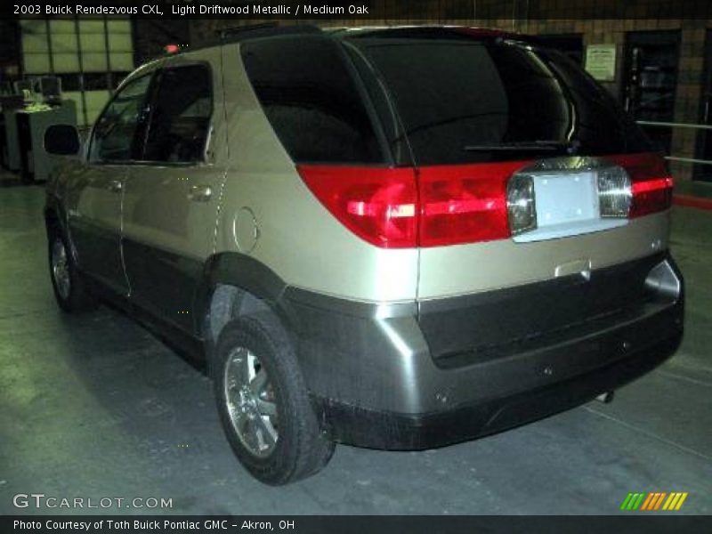 Light Driftwood Metallic / Medium Oak 2003 Buick Rendezvous CXL