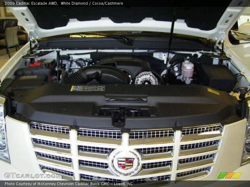 White Diamond / Cocoa/Cashmere 2009 Cadillac Escalade AWD