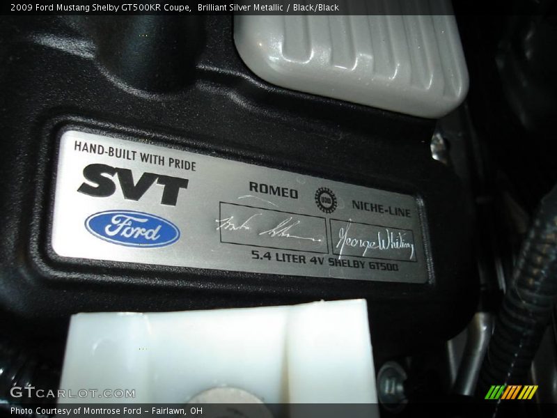 Brilliant Silver Metallic / Black/Black 2009 Ford Mustang Shelby GT500KR Coupe