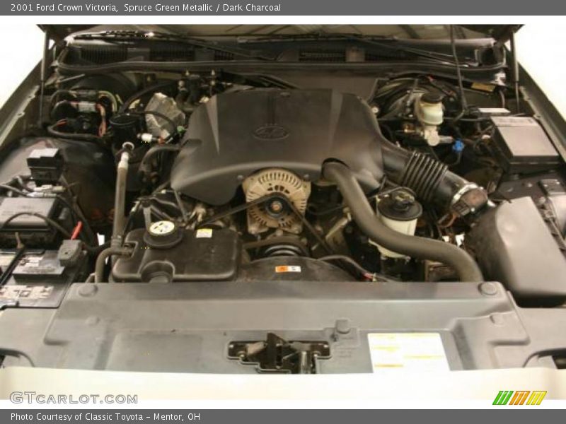 Spruce Green Metallic / Dark Charcoal 2001 Ford Crown Victoria