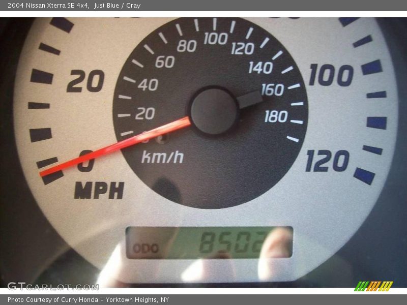 Just Blue / Gray 2004 Nissan Xterra SE 4x4