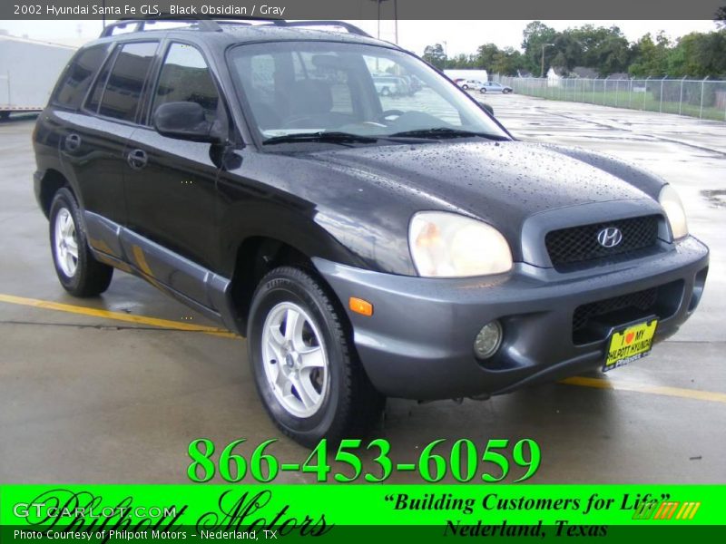 Black Obsidian / Gray 2002 Hyundai Santa Fe GLS