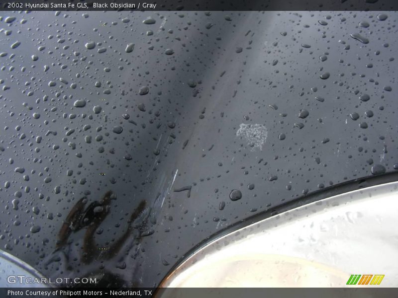 Black Obsidian / Gray 2002 Hyundai Santa Fe GLS