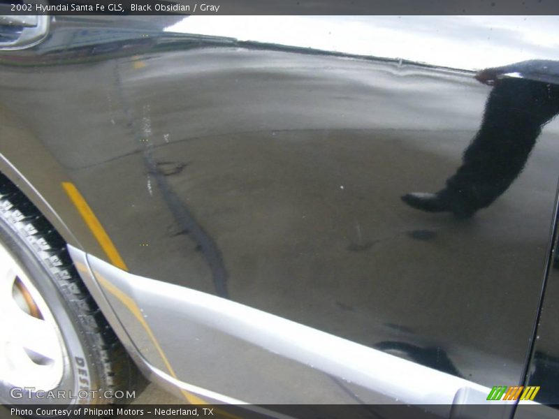 Black Obsidian / Gray 2002 Hyundai Santa Fe GLS