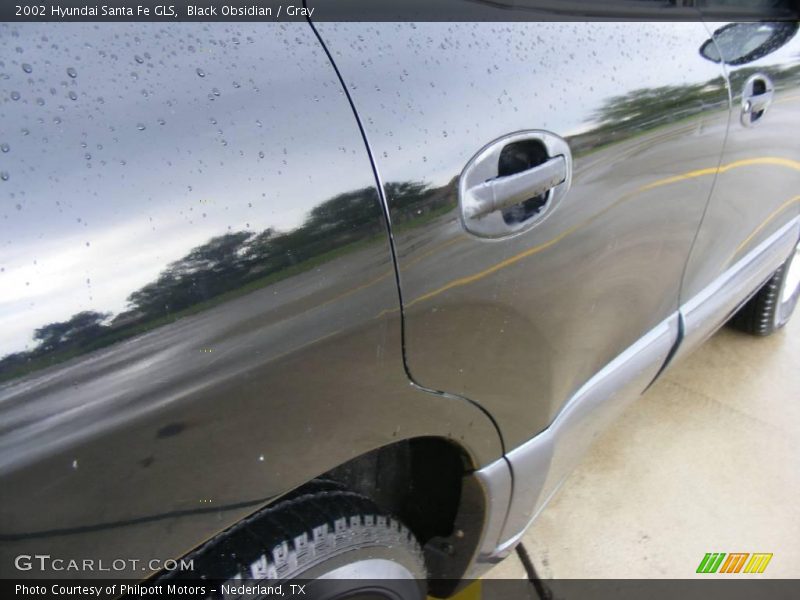 Black Obsidian / Gray 2002 Hyundai Santa Fe GLS