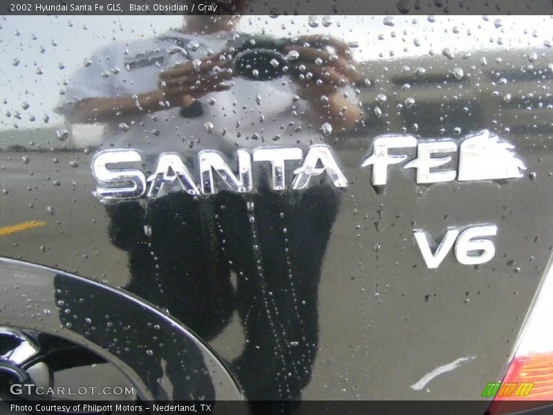 Black Obsidian / Gray 2002 Hyundai Santa Fe GLS